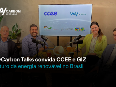 WayCarbon Talks CCEE e GIZ   YT (1)
